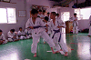 mu (143)_samu.gif